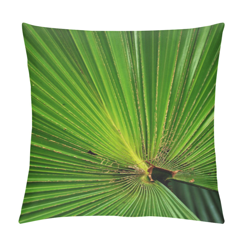 Personality  Green Footstool Palm Leaf Pillow Covers