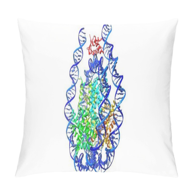 Personality  Crystal Structure Of Chromatosome, 3D Cartoon Model, White Background, Copy Space Pillow Covers