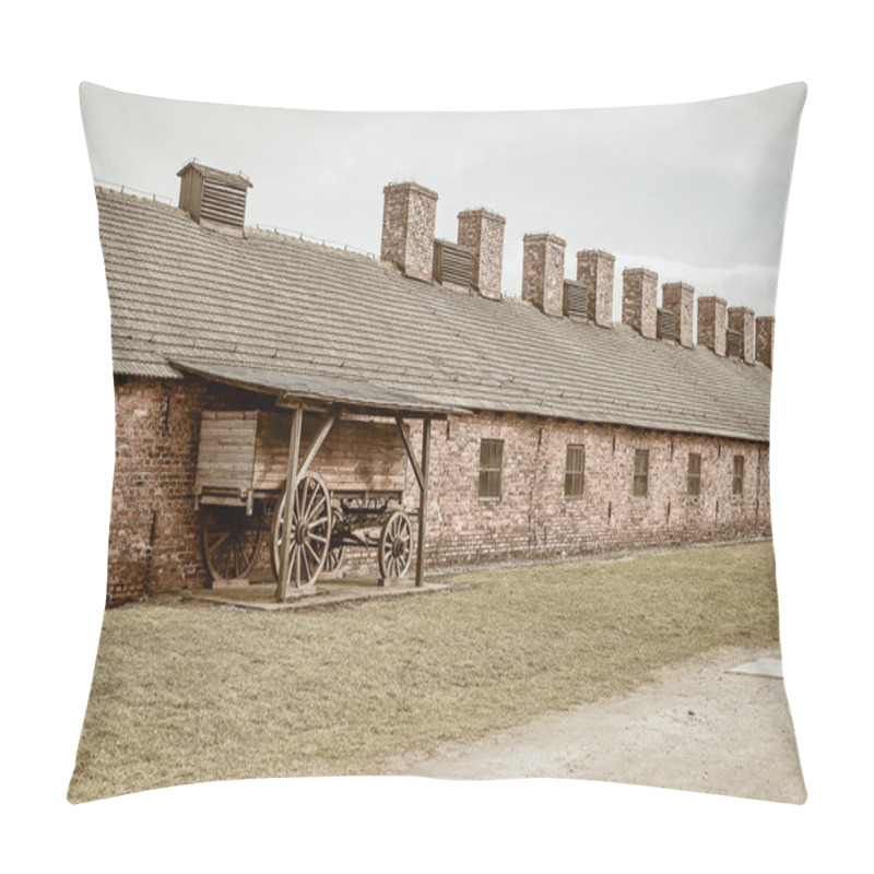 Personality  Auschwitz Concentration Camp Pillow Covers