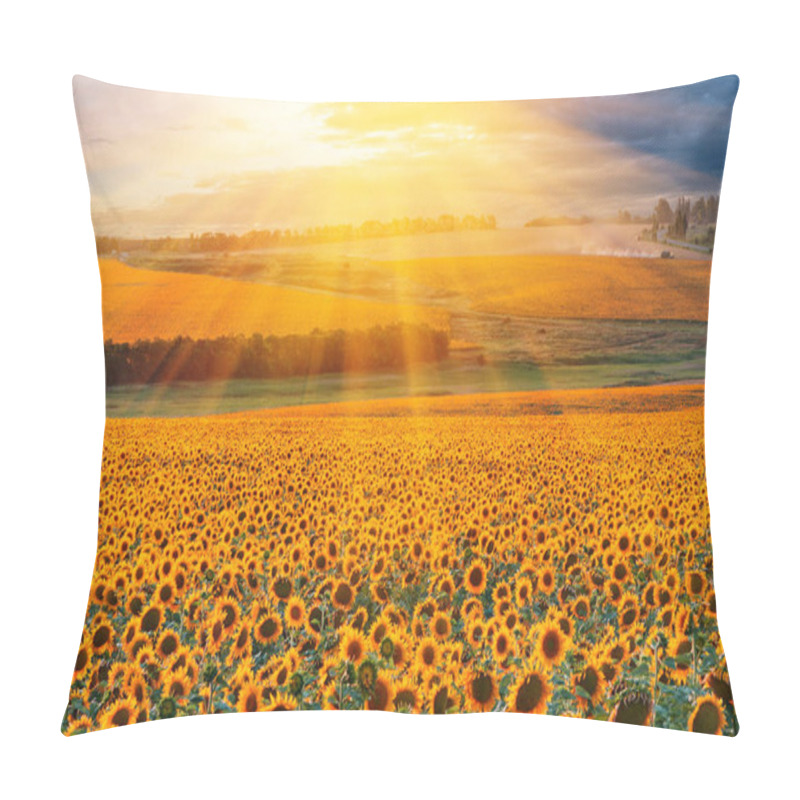 Personality  Sunflower Field In Sunset Pillow Covers