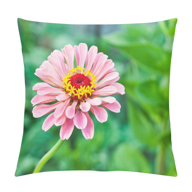 Personality  Zinnia Pillow Covers