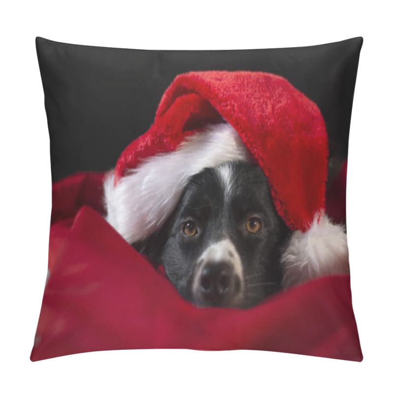 Personality  A Funny Border Collie Puppy Lying Down Between The Red And White Sheets Snoozing With Santa Claus's Hat Pillow Covers