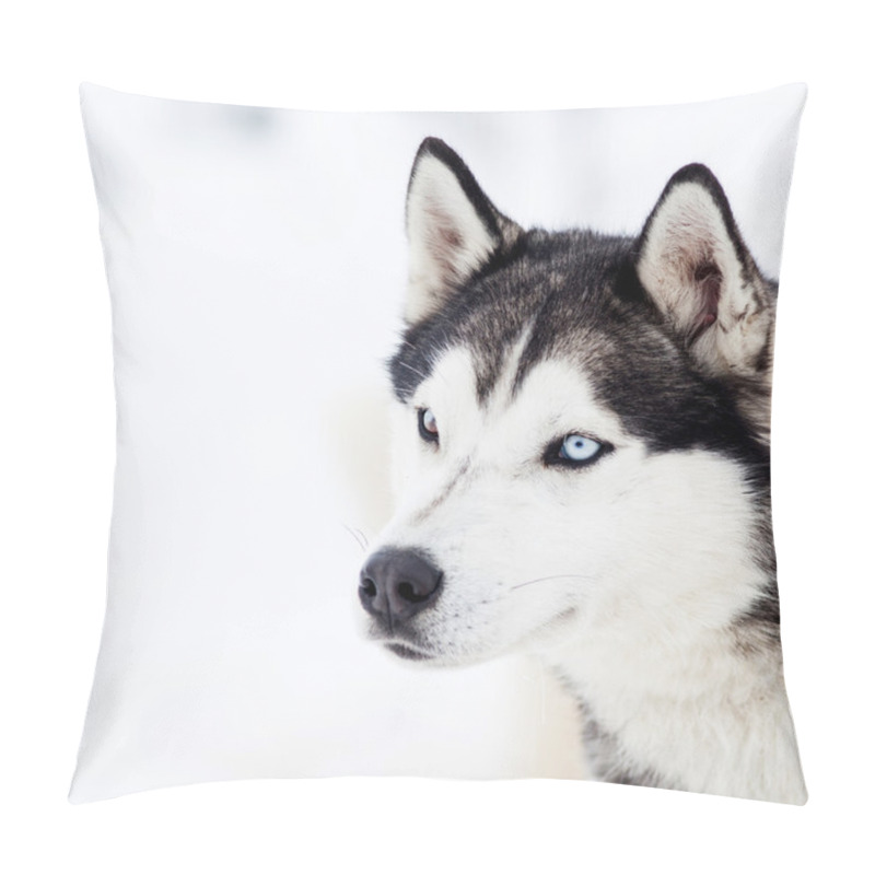 Personality  Cute Husky Portrait In Winter Pillow Covers