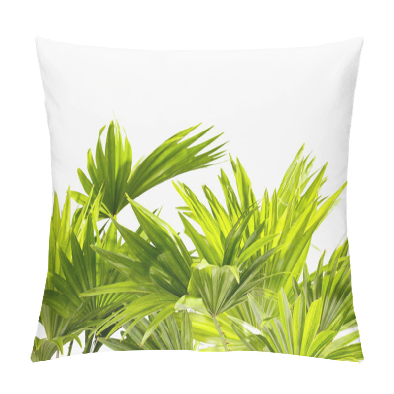 Personality  Palm Leaves On White Pillow Covers