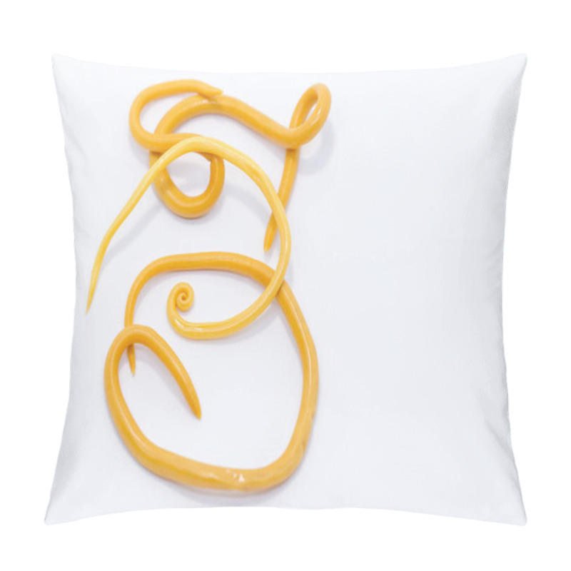 Personality  Ascariasis Is A Disease Caused By The Parasitic Roundworm Ascaris Lumbricoides For Education In Laboratories. Pillow Covers