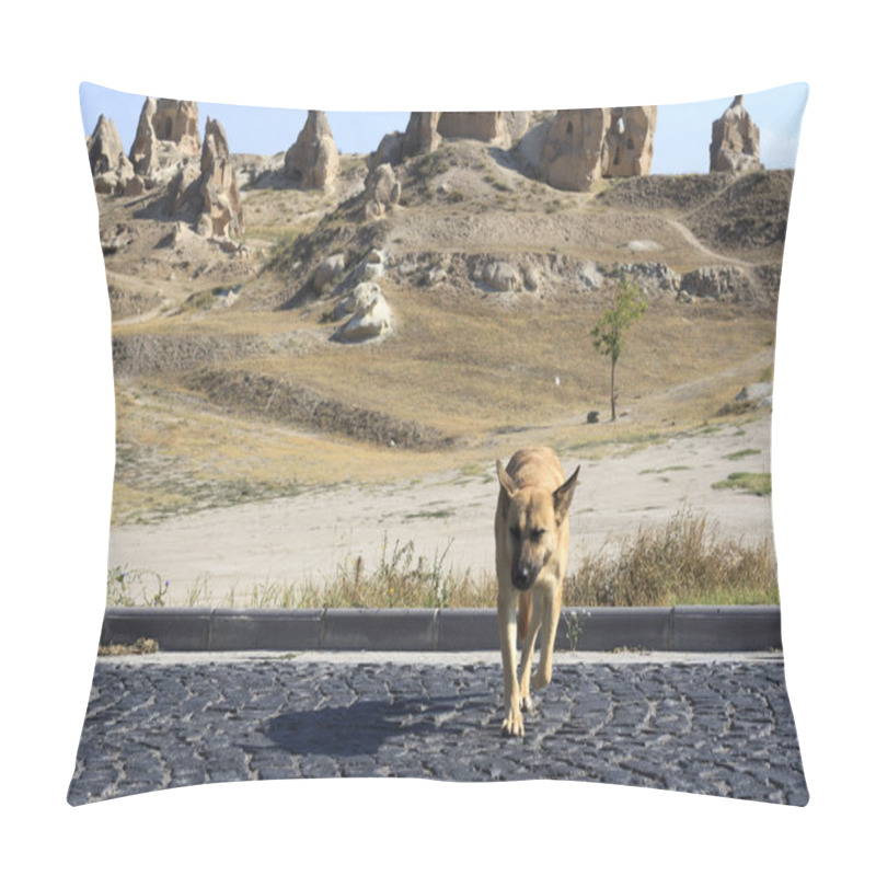 Personality  Dog  Pillow Covers