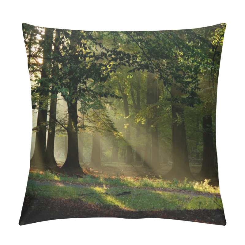 Personality  Fairytail Forest Pillow Covers