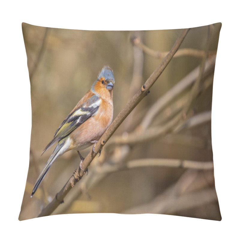 Personality  Close Up Of A Male Chaffinch Perched On A Branch Against A Diffuse Background Pillow Covers