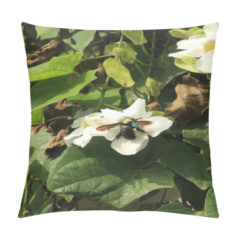 Personality  A Close-up Of A Black Bee On A White Flower Surrounded By Green Leaves. The Bee Has Iridescent Wings And Is Collecting Nectar. The Background Features Wilted Leaves, Adding Contrast To The Vibrant Flora. Pillow Covers