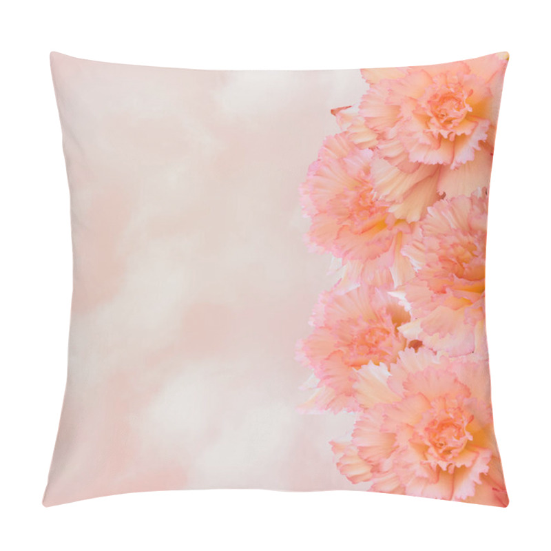 Personality  Gentle Floral Border With Creamy-pink  Large Begonia Flowers Pillow Covers