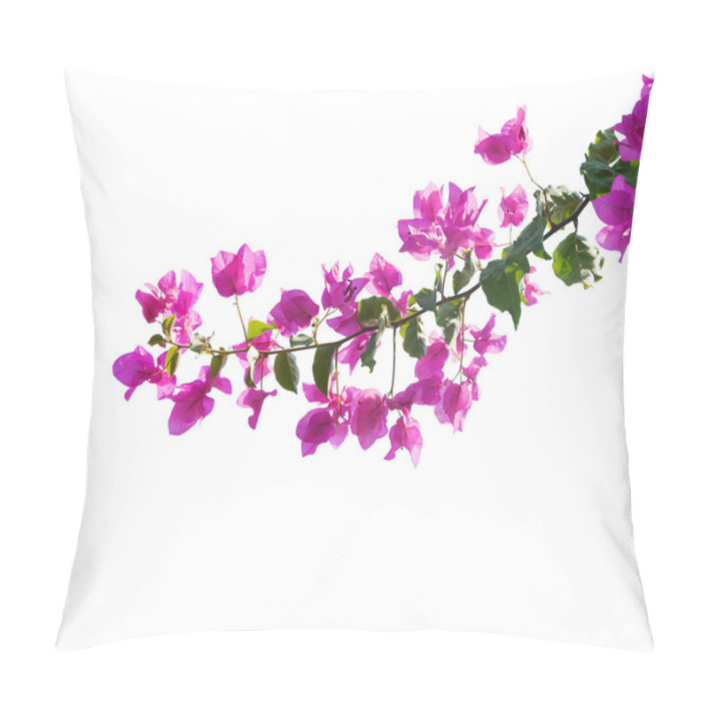 Personality  Blooming Bougainvilleas Isolated On White Background Pillow Covers