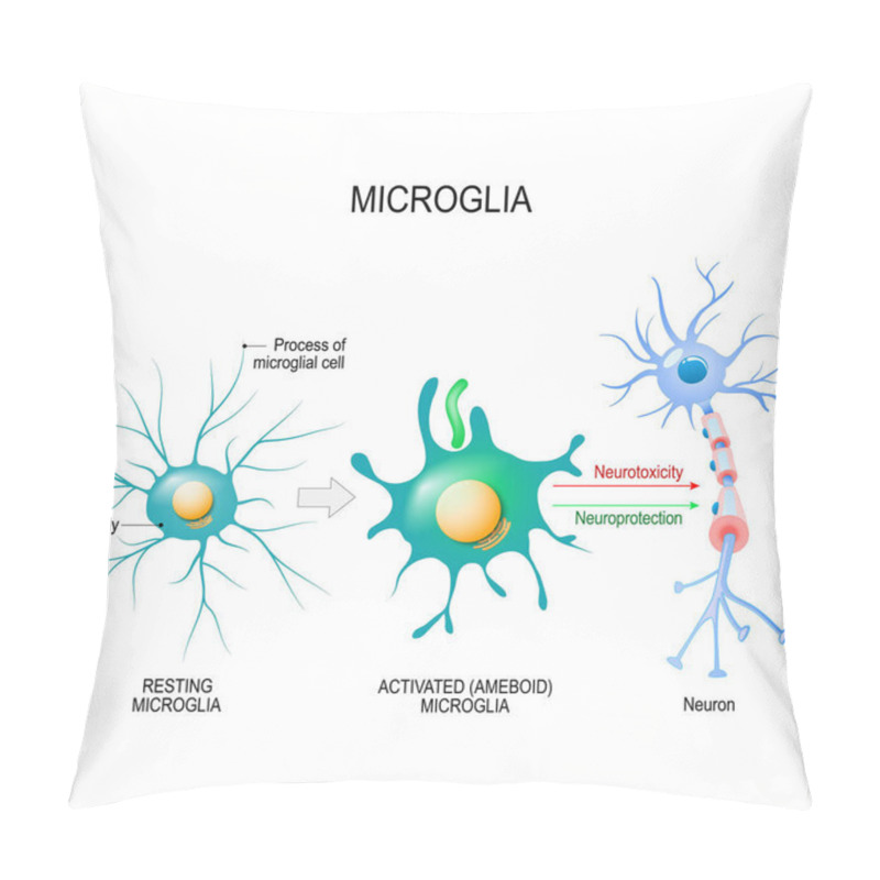 Personality  Activation Of A Microglial Cell. Vector Diagram For Educational, Medical, Biological And Science Use Pillow Covers