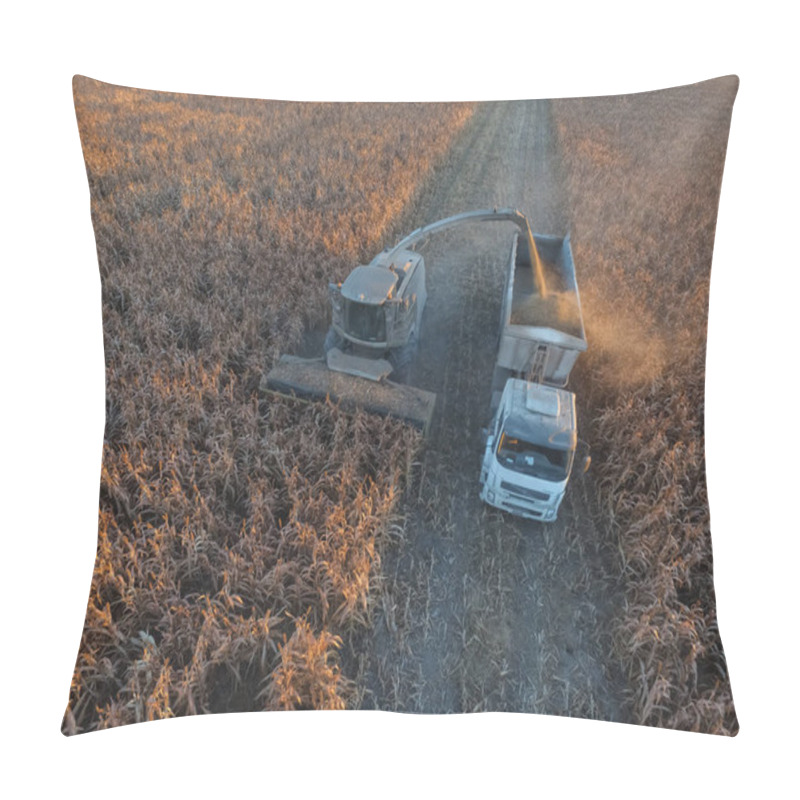 Personality  Harvest In The Argentine Countryside, Pampas, Argentina Pillow Covers