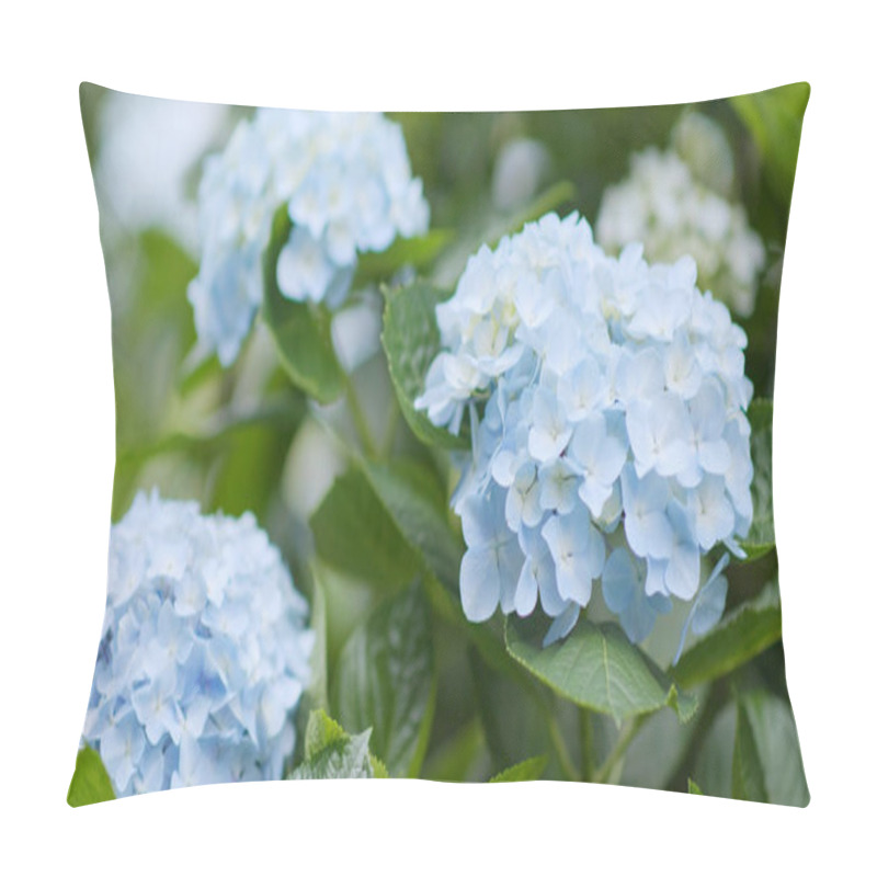 Personality  Beautiful Hydrangea Flower Field Pillow Covers