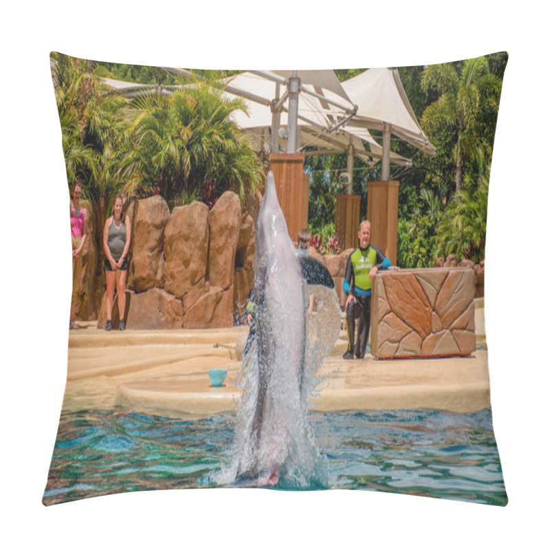 Personality   Orlando, Florida. September 28, 2021. Dolphin Adventures Show At Seaworld (11). Pillow Covers