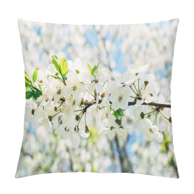 Personality  Beautiful Flowers. Spring And Summer Flowers. Botany. Warm. Plants Pillow Covers