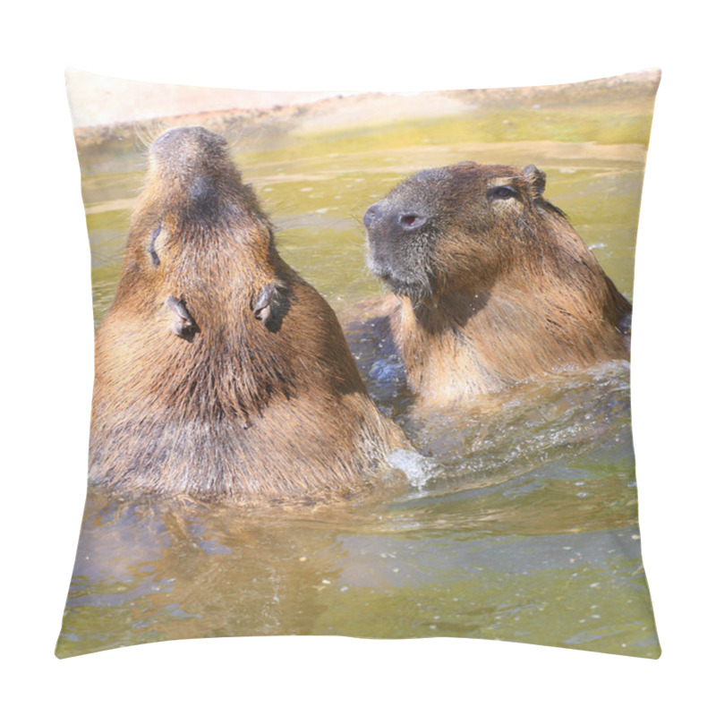 Personality  Love Making Couple Of The Capybara Pillow Covers