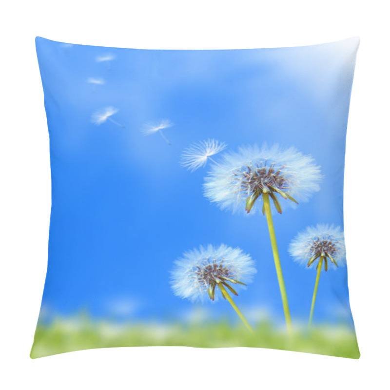 Personality  Dandelion Field Pillow Covers