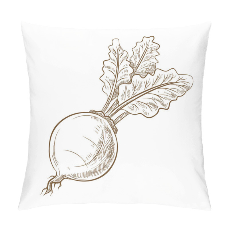 Personality  Picture Of Beet With Leaves Pillow Covers