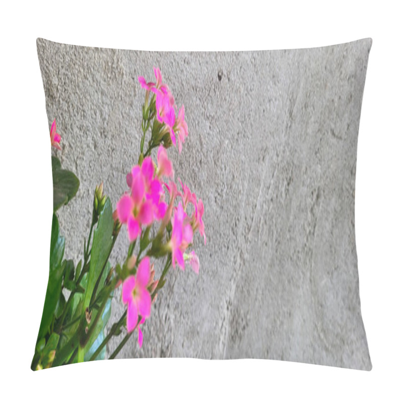 Personality  Pink Flowers With Rustic Wall Background Pillow Covers