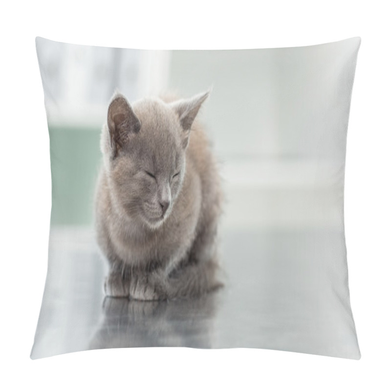 Personality  Kitten In Veterinary Office Pillow Covers