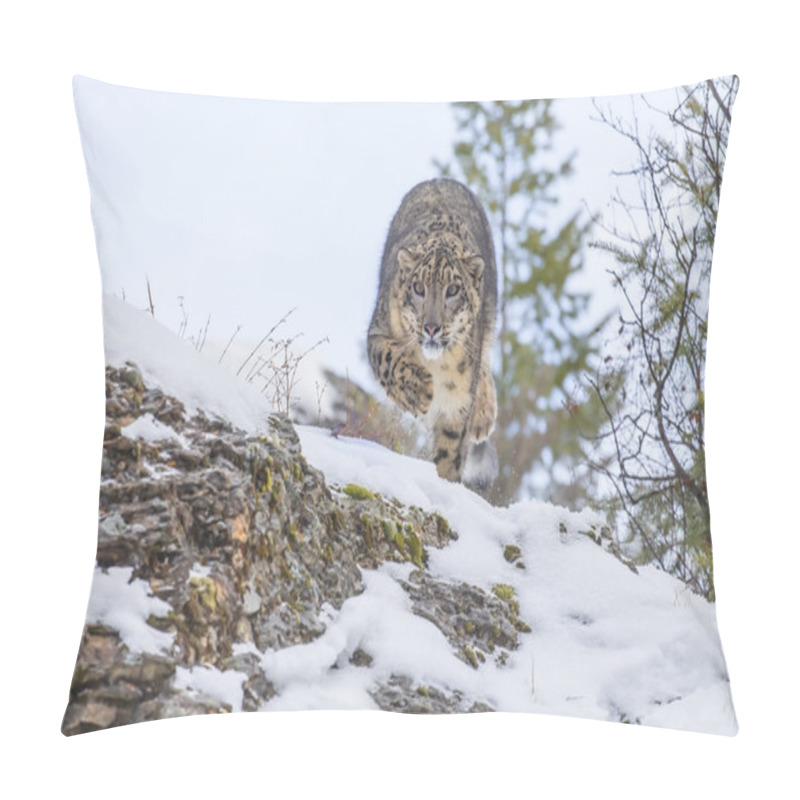 Personality  Snow Leopard On A Cliff Pillow Covers