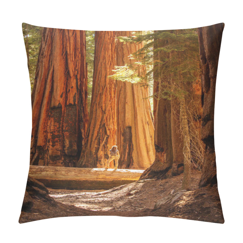 Personality  Hiker In Sequoia National Park In California, USA Pillow Covers