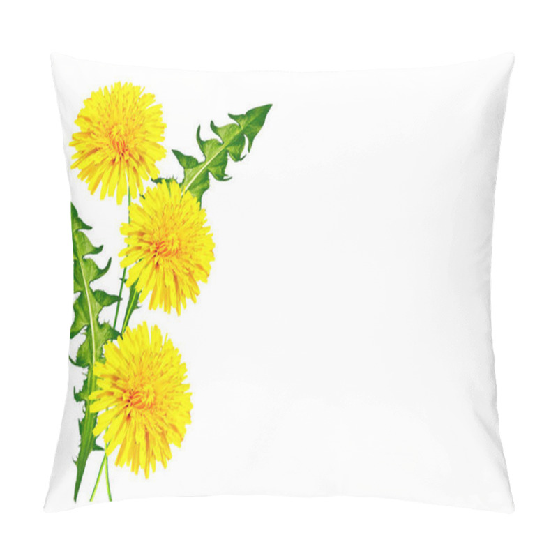 Personality  Fluffy Dandelion Flower Isolated On White Background. Pillow Covers