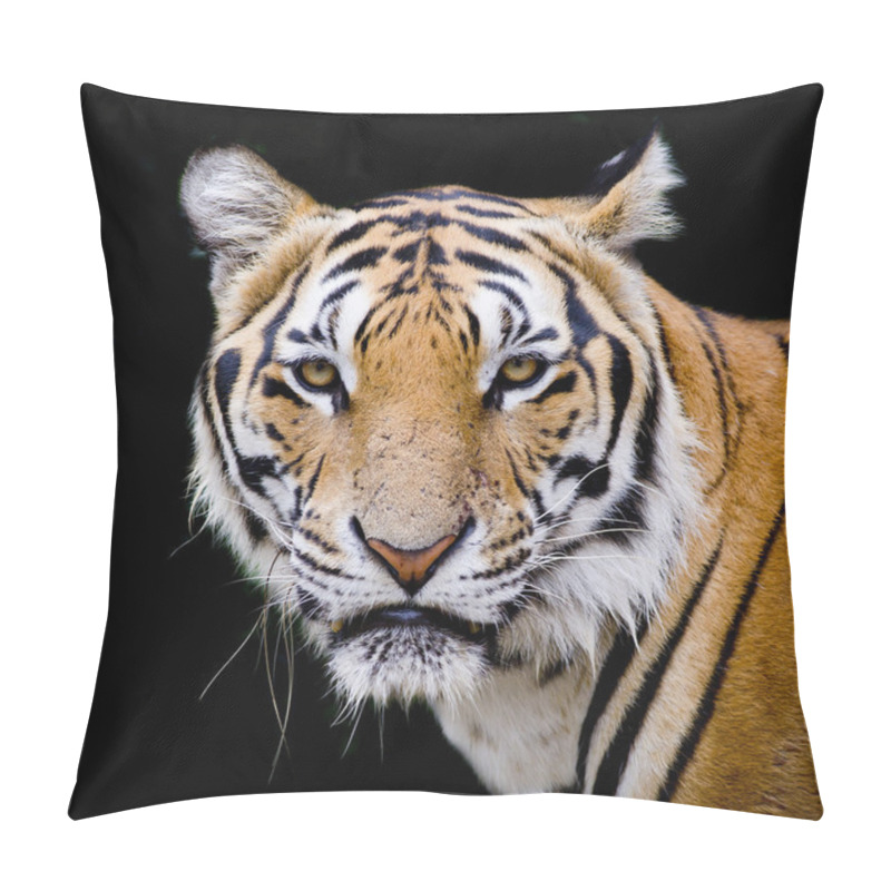 Personality  Tiger, Portrait Of A Bengal Tiger. Pillow Covers