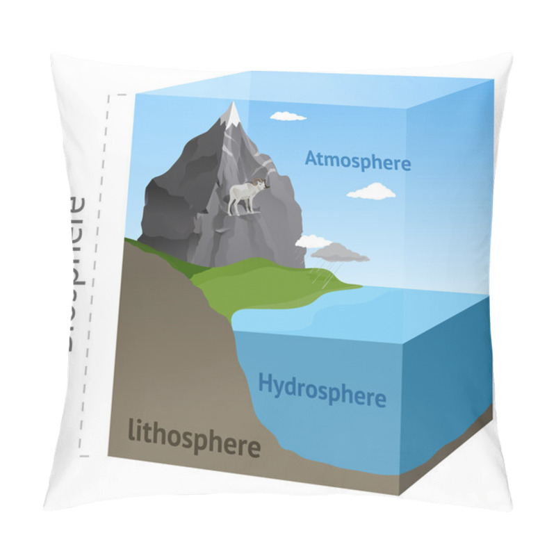 Personality  Biosphere Illustration In Vector Pillow Covers