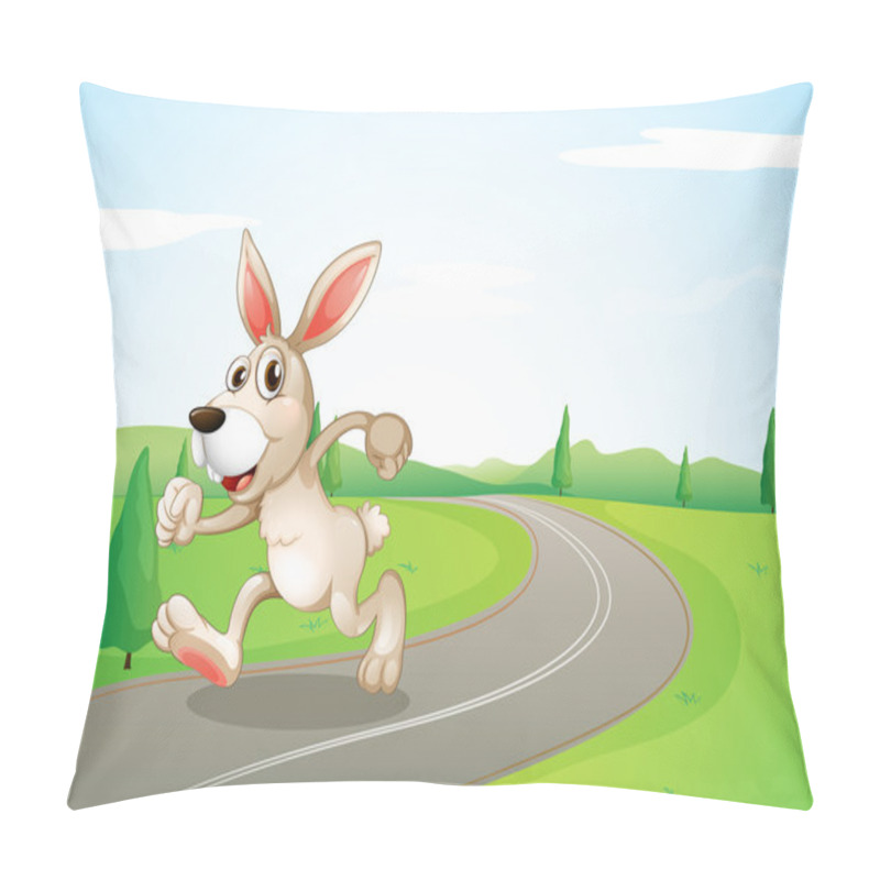 Personality  A Running Rabbit At The Road Pillow Covers