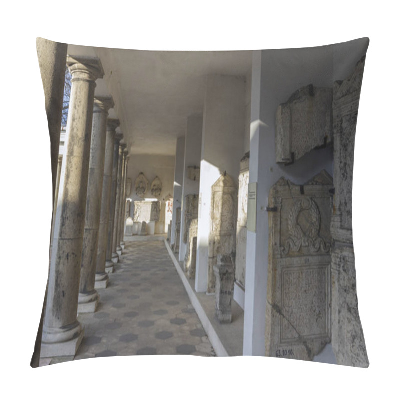 Personality  Roman Ruins In Aquincum Pillow Covers