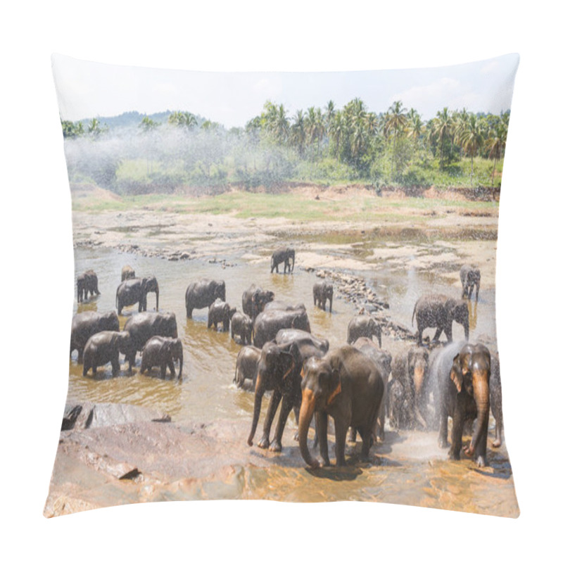 Personality  Elephants Pillow Covers