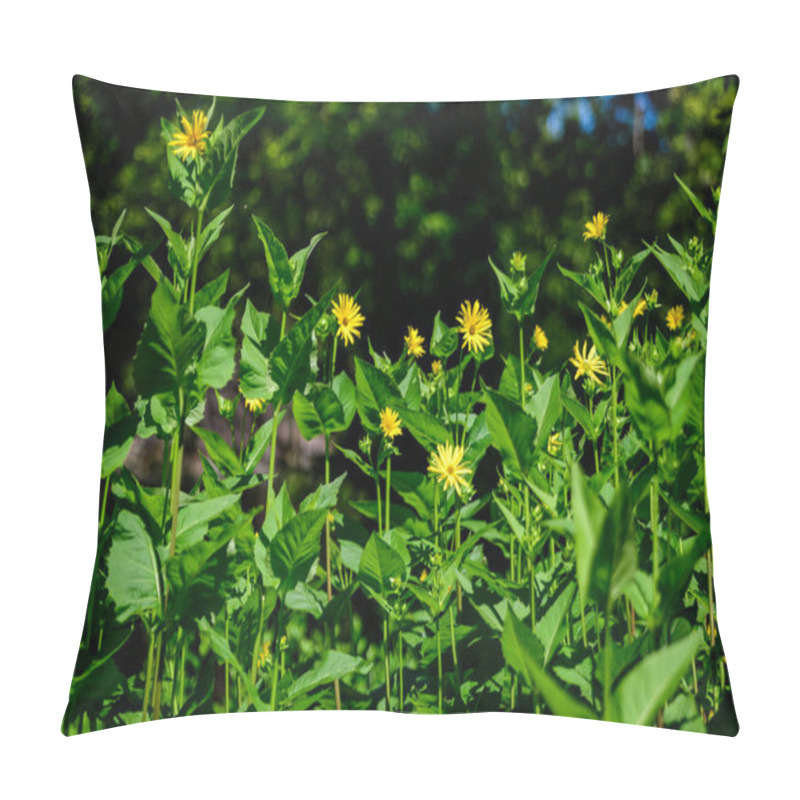 Personality  Many Delicate Fresh Vivid Yellow Flowers Of Jerusalem Artichoke Plant, Commonly Known As Sunroot, Sunchoke, Or Earth Apple, Beautiful Outdoor Floral Background Photographed With Soft Focus Pillow Covers