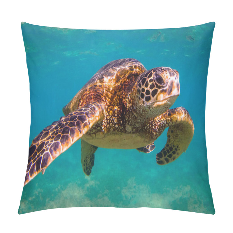 Personality  Hawaiian Green Sea Turtle Cruising The Warm Waters Of The Pacific Ocean In Hawaii Pillow Covers