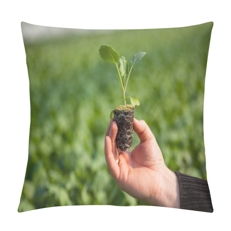 Personality  Hand Holding Seedlings Pillow Covers