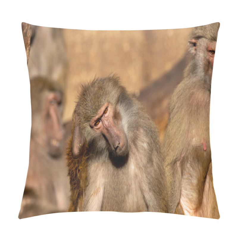 Personality  Baboons Eat Fruits, Seeds, And Insects. Pillow Covers