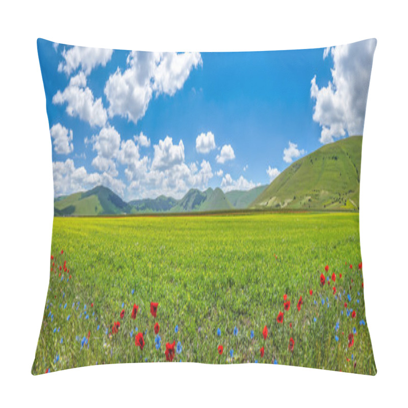 Personality  Piano Grande Mountain Plateau, Umbria, Italy Pillow Covers