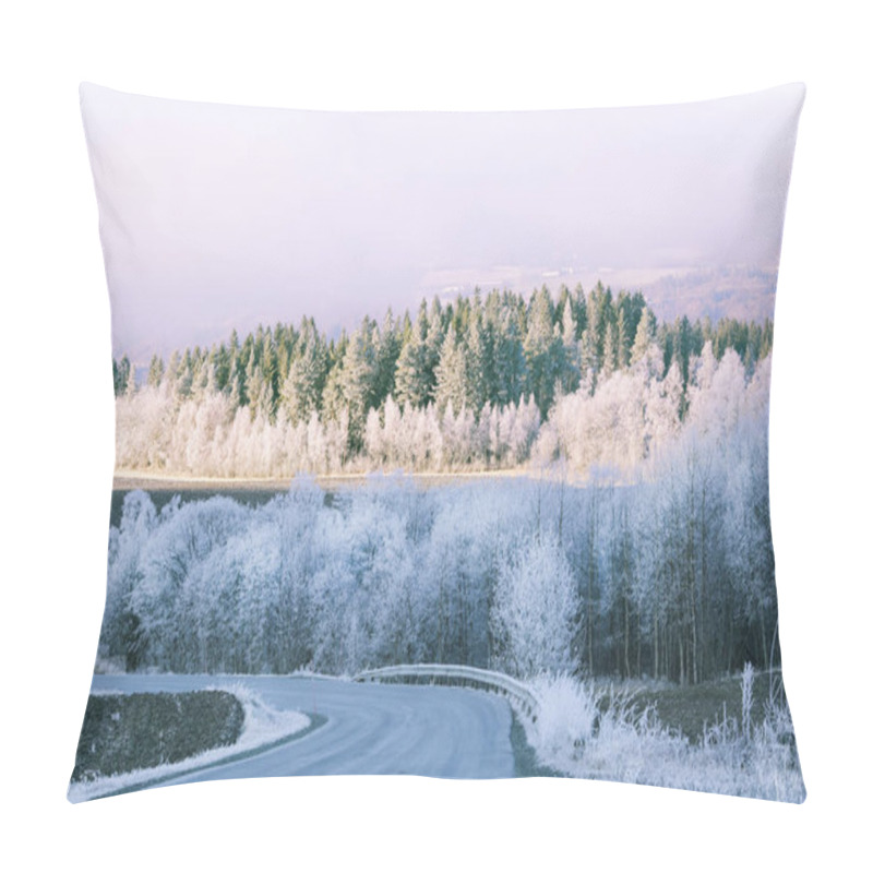 Personality  Frost  Pillow Covers