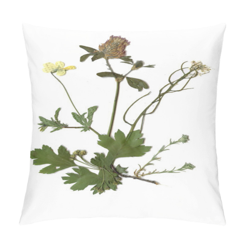 Personality  Herbarium With Summer Meadow Plants Pillow Covers