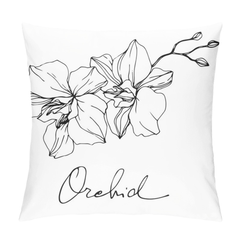 Personality  Beautiful Orchid Flowers. Black And White Engraved Ink Art. Isolated Orchids Illustration Element On White Background. Pillow Covers