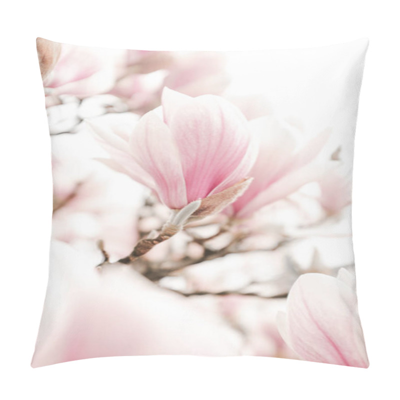 Personality  Atmospheric Image Of Magnolia Flowers In Spring Pillow Covers