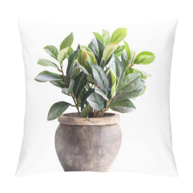 Personality  A Lush Green Potted Plant With Glossy Leaves, Adding A Touch Of Nature To Any Interior Space. Pillow Covers