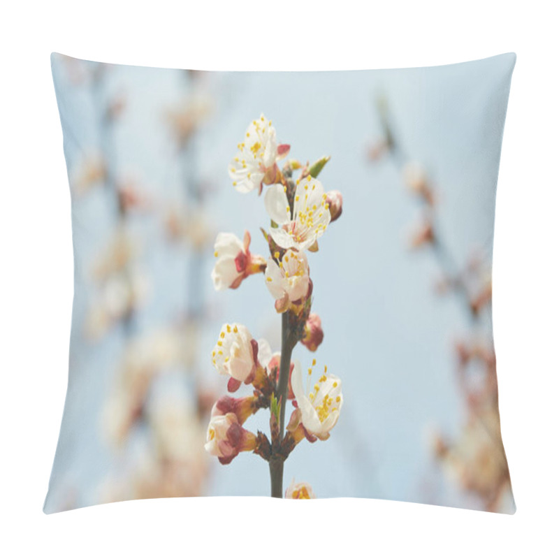 Personality  Tree Branch With Blooming Flowers On Blue Sky Background Pillow Covers