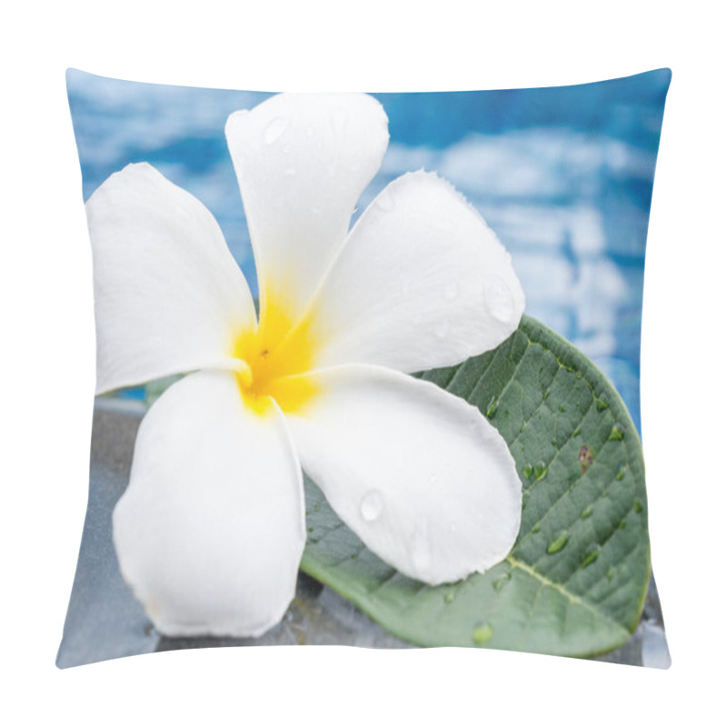 Personality  Plumeria Flowers Frangipani Near A Water Pool Pillow Covers