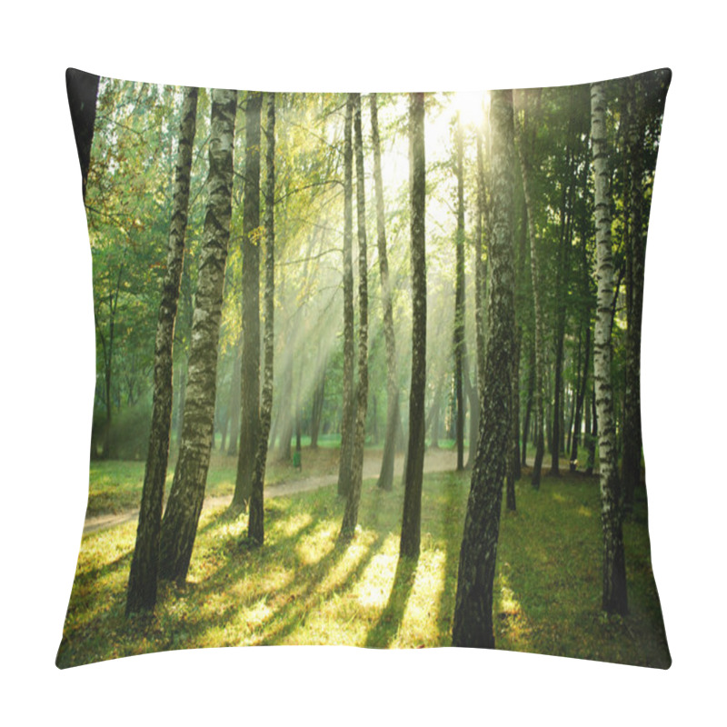 Personality  Morning Sun Beams In The Autumn Park Pillow Covers