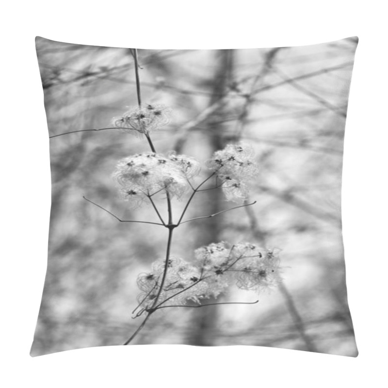 Personality  Delicate White Blossoms On A Branch In Soft Focus, Evoking Tranquility In A Monochrome Setting. Pillow Covers