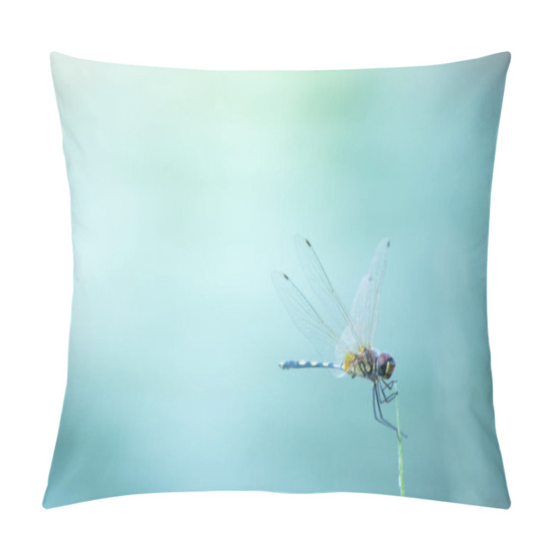 Personality  The Dragonfly In Nature, The Animal In Wild Life, The Insect In Nature Pillow Covers