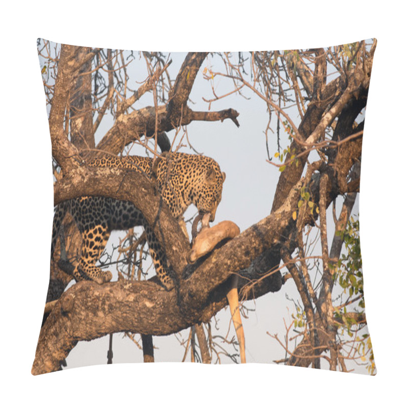 Personality  Leopard Feeding On Impala Pillow Covers