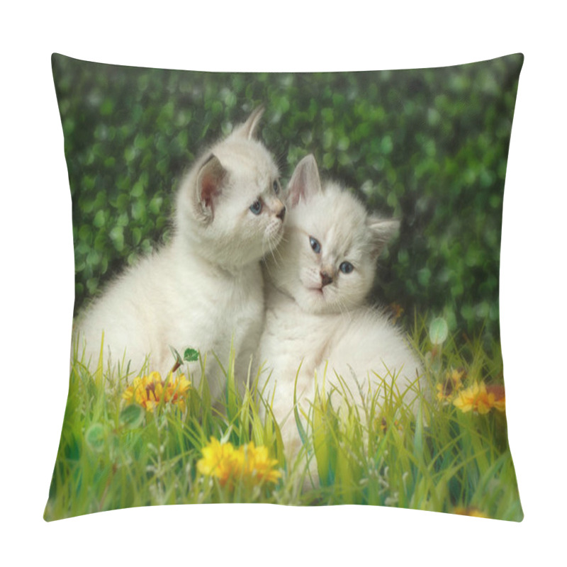 Personality  British Shorthair Kitten With Blue Eyes On The Green Grass. Pillow Covers